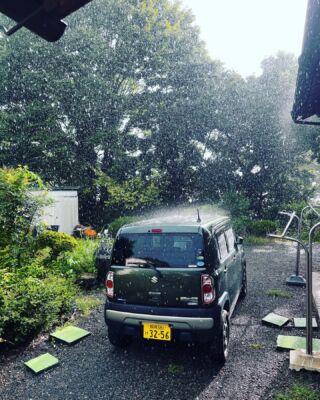 お天気雨
映画の雨降しみたい